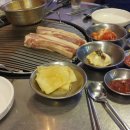 제주도야지 - 중구 백운로186번길 127 | 제주도야지