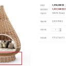 팬시나라 이미지