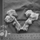 봉 동물병원 이미지