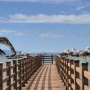 수문해수욕장 이미지