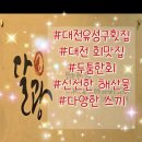 유성구 횟집 &#39;달광&#39;에서 즐긴 푸짐한 스페셜 코스 후기