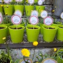 파란새싹어린이집 이미지