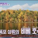아이비투어(주) 이미지