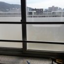 덕벌초교 네이버블로그
