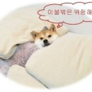 지엔동물병원 이미지