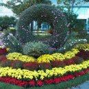 국화회관 이미지