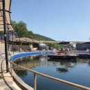 산으로 간 낚시꾼 이미지