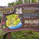 도화리마을 이미지