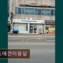 월드애견미용실 이미지