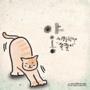 붓따라/캘리팝오기오 이미지