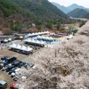 금산이네 이미지