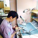 오랄아트 이미지