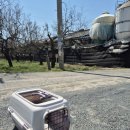 자인동물병원 이미지