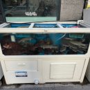 어가활어횟집 이미지