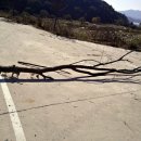 국토종주자전거길1-8 이미지