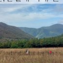 도천진짜순대 얼음골점 이미지