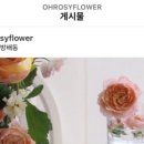 방배로25길 60 이미지