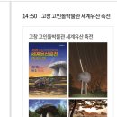 10월16일(목요일)만원의행복,고창선운사꽃무릇,고인돌세계유산축전 (중식제공)(마감) 입금하지마세요 이미지