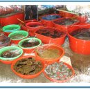 풍경장어 이미지