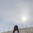 (주)엔젤렌트카 이미지