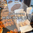 분당 베이커리카페 브레드팩토리 망캄 율동점 내돈내산 후기 | 국가대표 제과기능장 소금빵 맛집