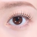 레이안경원 | 아이브 레이렌즈! 로뮤 원데이 베스트 3종 리뷰 자연광 비교