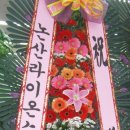 요셉이네할인매장