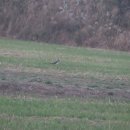 자연은동물병원 이미지