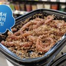 CU 거진항점 이미지