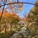 용호동 숲길 공중화장실 | &lt;경기도 광주 가볼 만한 곳&gt; 아기랑 화담숲 방문 후기