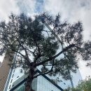 글로벌국제행정사사무소 이미지