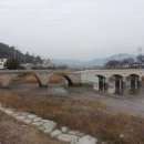 순천 동화사 마을숲(동화사 동백림) | 0923 보성,순천 제석산~시루봉 2016.03.13.일요일 흐린후 약한비