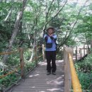 천혜제주