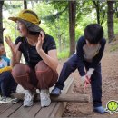 행복숲어린이집 이미지