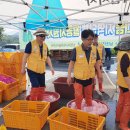 주천면 하주마을 Daum카페