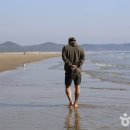 태안슈퍼 티스토리