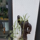 금성판매점