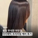 타이라이프 | 봄철 푸석한 머릿결, 프리미엄 살롱케어 타이메틱 후기