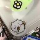 주향문 이미지