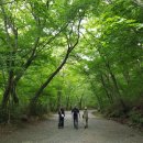 선암사매표소_관광안내소 이미지