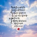 일청로 65번길 이미지