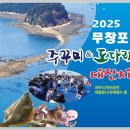 2025년 무창포 주꾸미·도다리 축제 간단 정리 축제 이미지