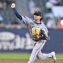 화이트 스포츠서울