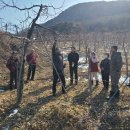 충북원예농업협동조합 이미지