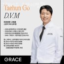 그레이스 고양이 병원 이미지
