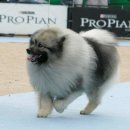 몽글몽글 이미지