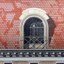 꿈의화원 이미지