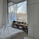 북스테이 노란 이미지