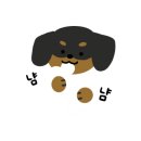 동대문 루시드 동물메디컬센터 이미지