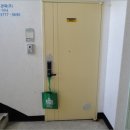 둔산북로 이미지